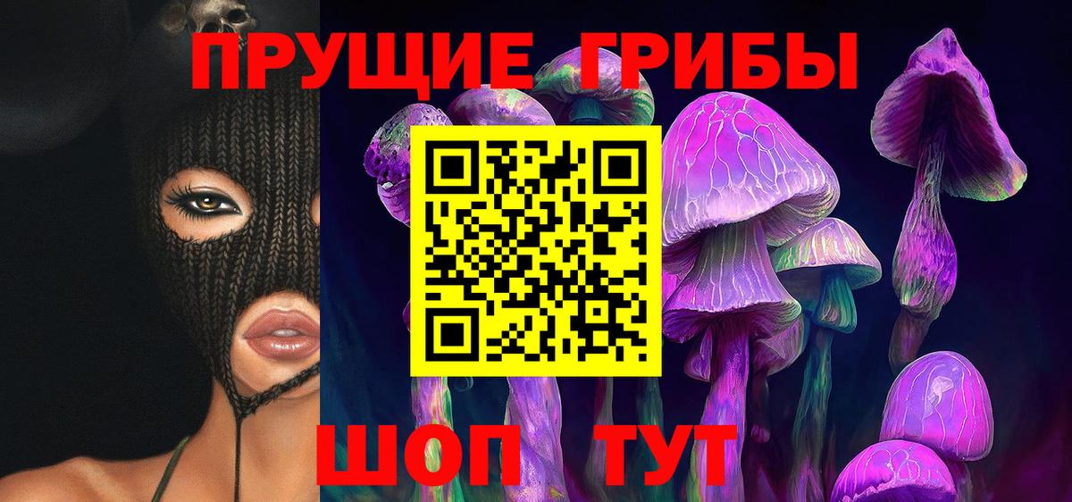 Галлюциногенные грибы Psilocybe Брянск